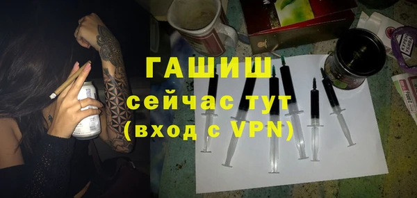 молекула духа Арсеньев