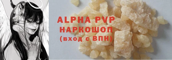 молекула духа Арсеньев
