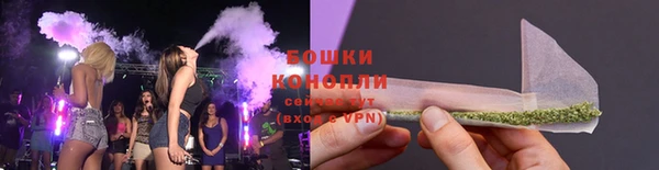 молекула духа Арсеньев