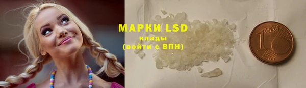 молекула духа Арсеньев