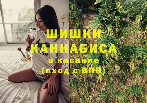 СК Аркадак