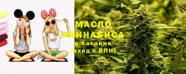 молекула духа Арсеньев