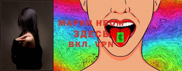 молекула духа Арсеньев
