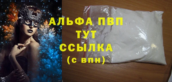 молекула духа Арсеньев