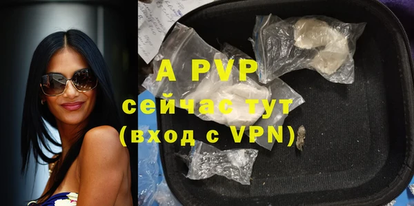 СК Аркадак