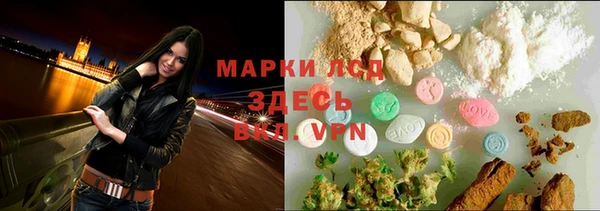 молекула духа Арсеньев