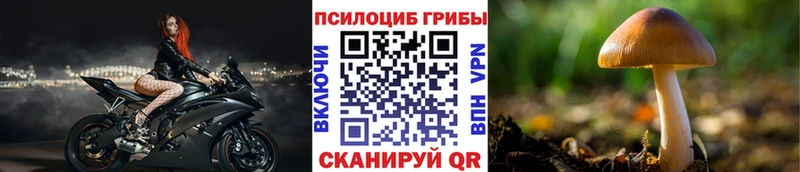 Галлюциногенные грибы ЛСД  Белозерск 